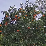 Διαμέρισμα Perla Del Mar Τορεβιέχα
