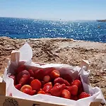 Perla Del Mar Τορεβιέχα