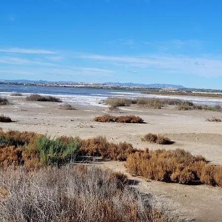 شقة Perla Del Mar تورّيفيِخا