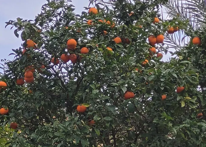 Apartmán Perla Del Mar Torrevieja