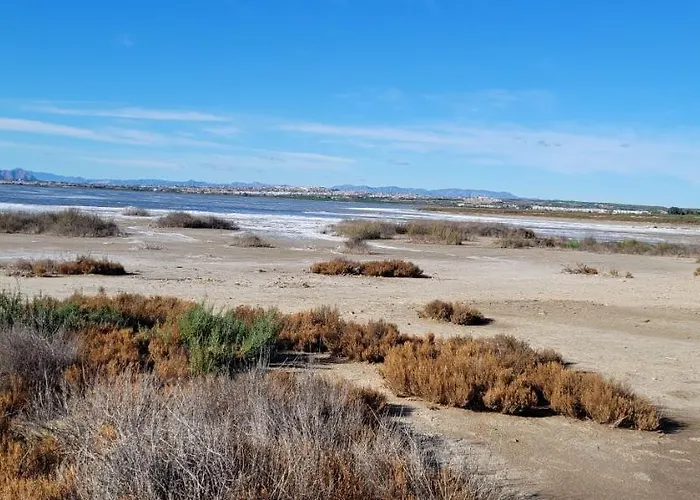 Apartmán Perla Del Mar Torrevieja